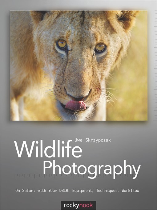 Cover image for Wildlife Photography